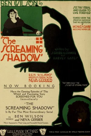 Постер: The Screaming Shadow