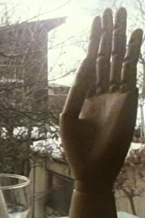 Постер: Distorted Movi Sion