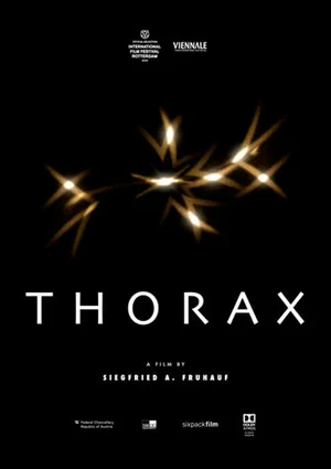 Постер: Thorax