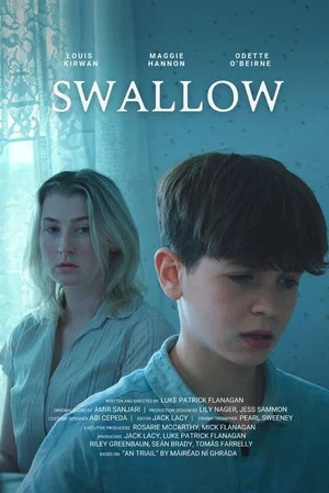 Постер: Swallow