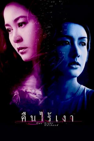 Постер: One Night Husband