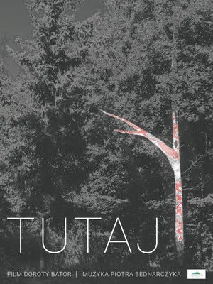 Постер: Tutaj