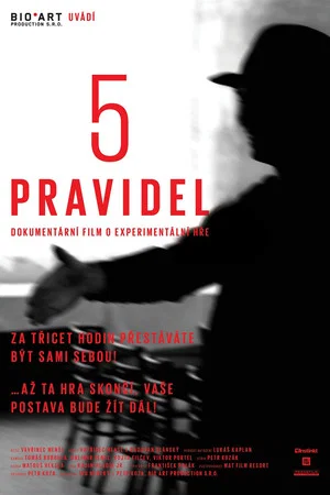 Постер: 5 pravidel