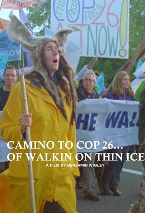 Постер: Of Walking on Thin Ice