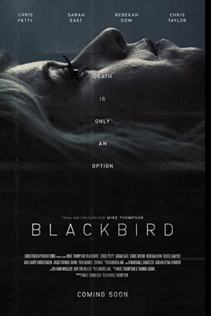Постер: Blackbird