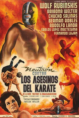 Постер: Neutron Battles the Karate Assassins