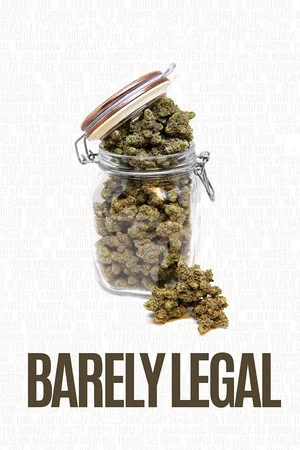 Постер: Barely Legal