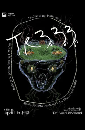 Постер: TR333