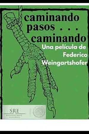 Постер: Caminando pasos... caminando