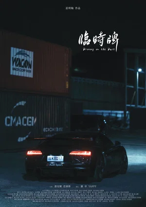 Постер: Driving in the Dark