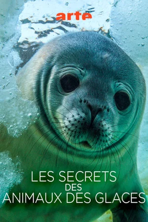 Постер: Les Secrets des Animaux des Glaces