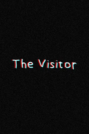 Постер: The Visitor