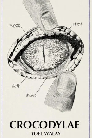 Постер: Crocodylae