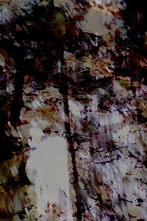 Постер: gossamer I