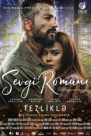 Постер: Romance Novel