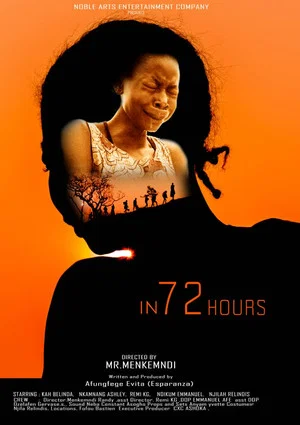 Постер: In 72 hours