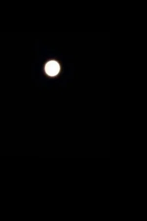 Постер: moooooon