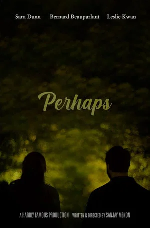 Постер: Perhaps
