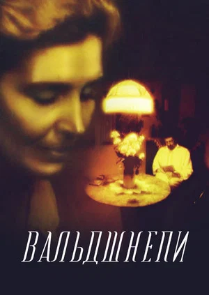 Постер: Вальдшнепы