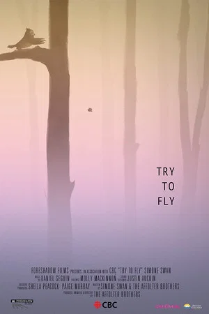 Постер: Try to Fly