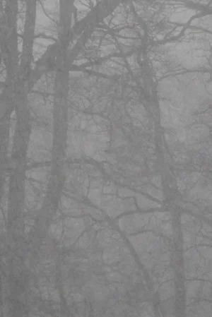Постер: Snowfall and After