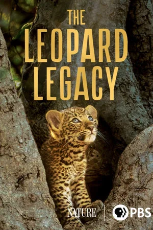 Постер: The Leopard Legacy