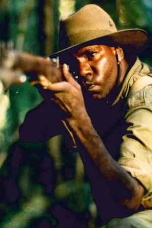Постер: Harry's War