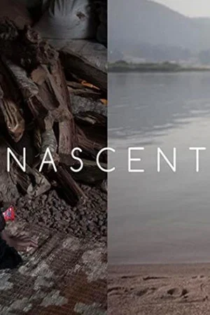 Постер: Nascent