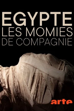 Постер: The Mysterious Mummified Dogs of Ancient Egypt