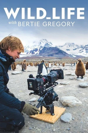 Постер: Wild Life: The Big Freeze