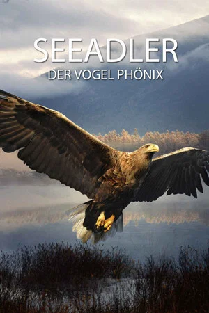 Постер: Seeadler - Der Vogel Phönix
