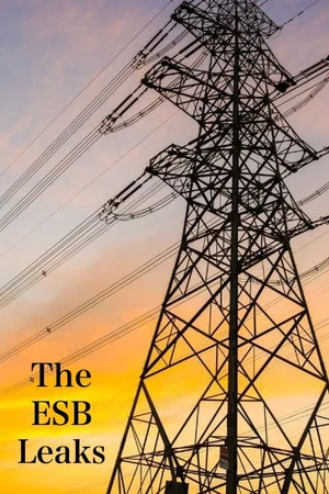 Постер: The ESB Leaks