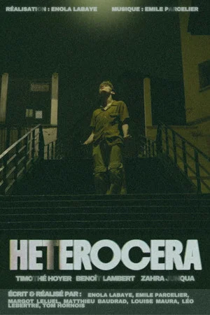 Постер: HETEROCERA