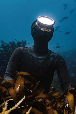 Постер: Daughter of the Sea