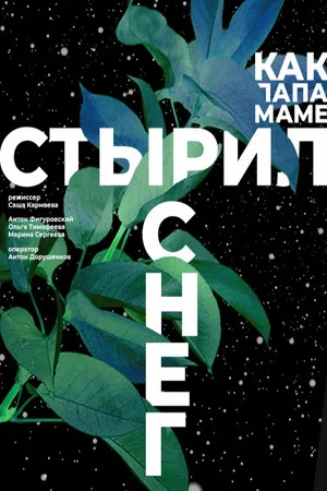 Постер: Как папа маме стырил снег