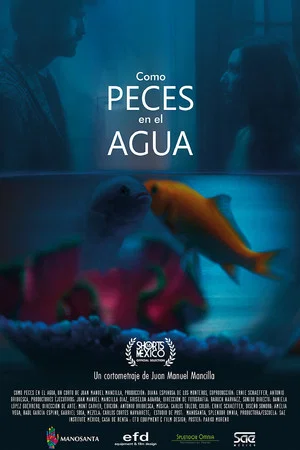 Постер: Como Peces en el Agua