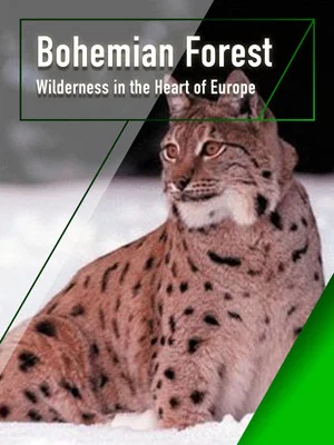 Постер: The Bohemian Forest - Wilderness in the Heart of Europe