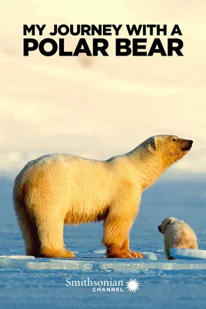 Постер: My Journey with a Polar Bear