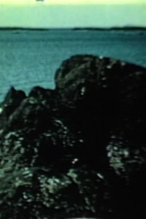 Постер: The Sea