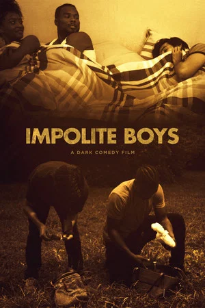 Постер: Impolite Boys