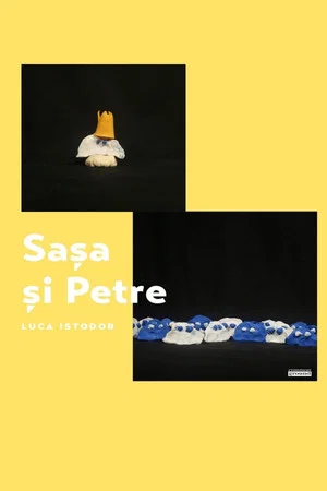 Постер: Sașa and Petre