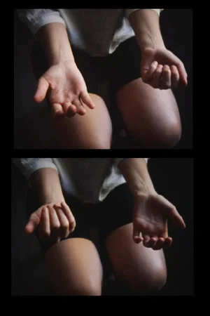 Постер: Many eyes, many centers, moving