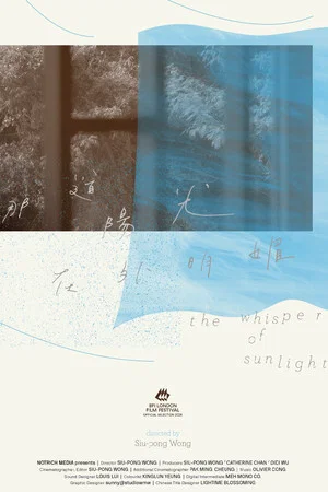 Постер: The Whisper of Sunlight