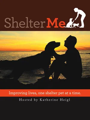 Постер: Shelter Me