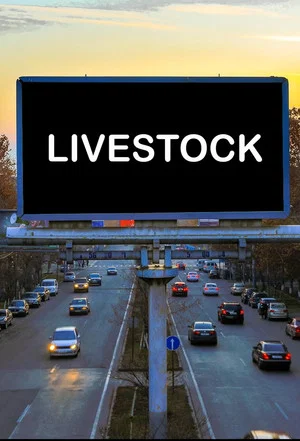 Постер: LIVESTOCK