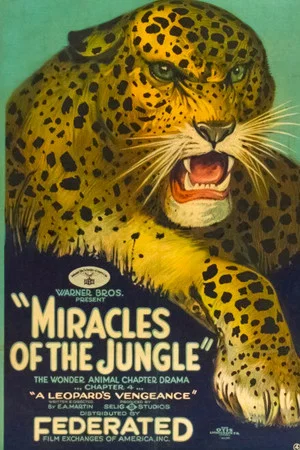 Постер: Miracles of the Jungle