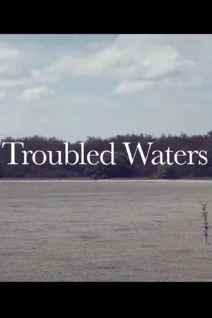 Постер: Troubled Waters