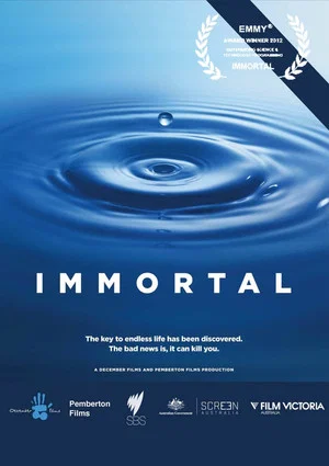 Постер: Immortal