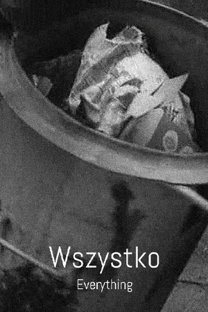 Постер: Everything