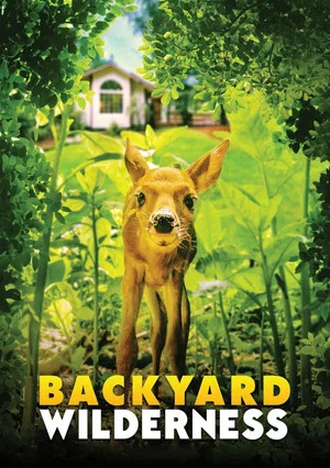 Постер: Backyard Wilderness